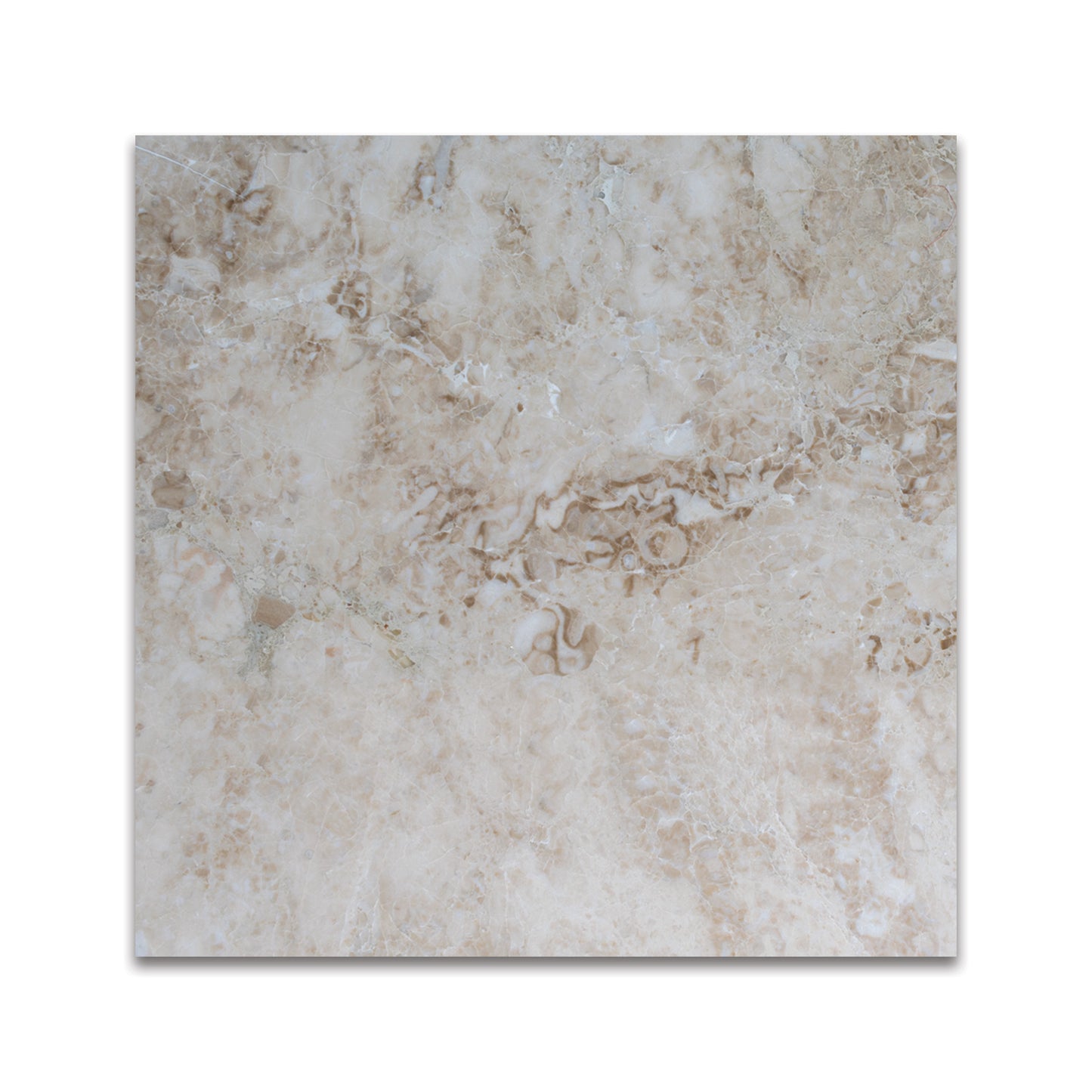 CAPPUCCINO MARBLE TILE POLISHED 18"x18"