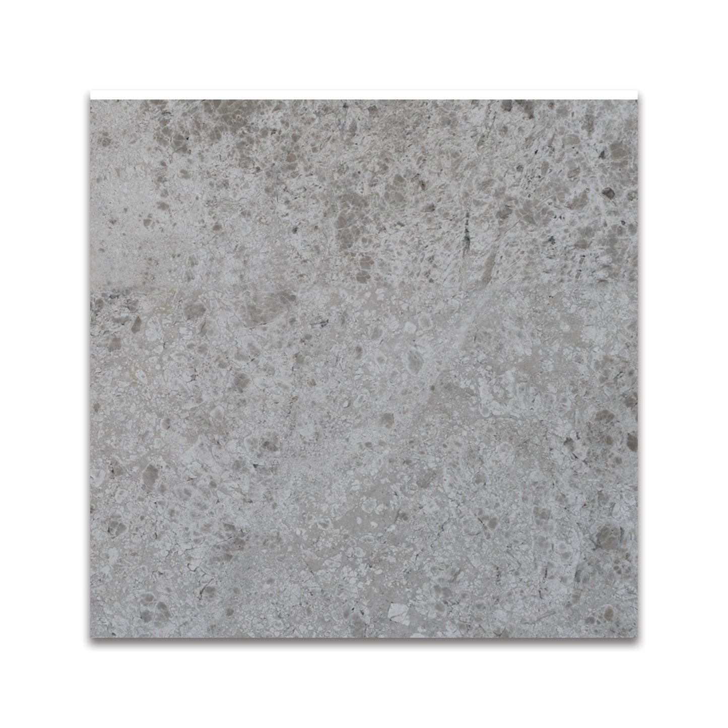 SILVER SKY MARBLE TILE POLISHED 12"x12"