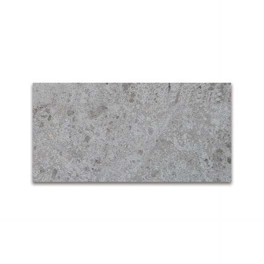 SILVER SKY MARBLE TILE POLISHED 12"x24"